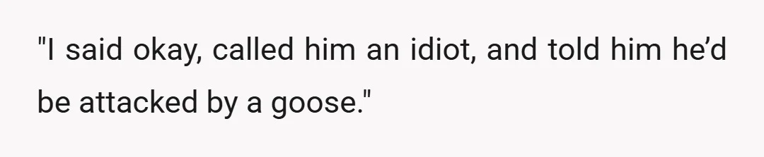 "I said okay, called him an idiot, and told him he&rsquo;d be attacked by a goose."
