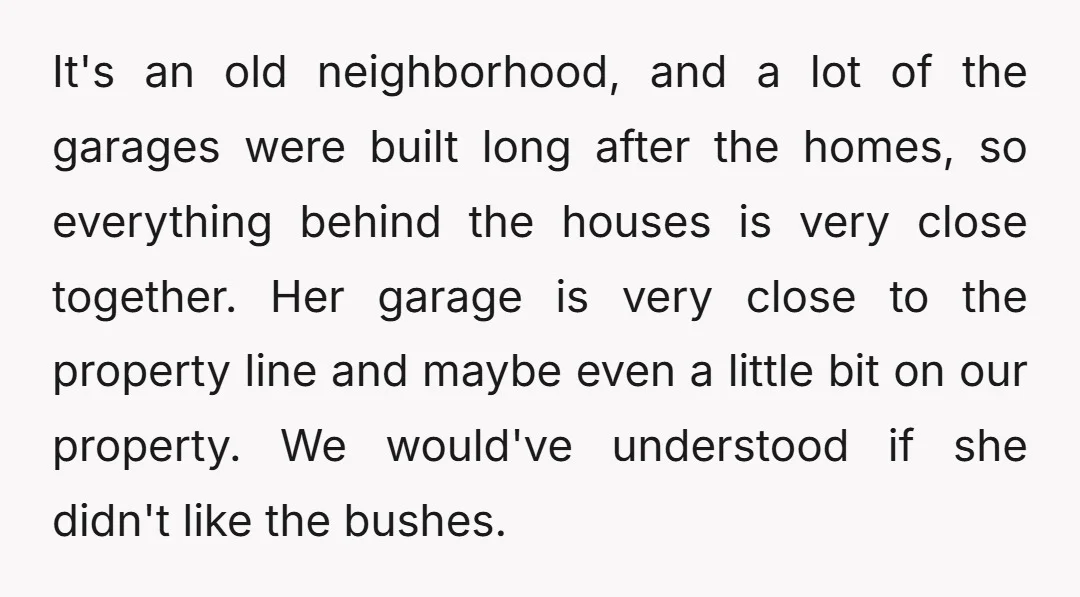 It's an old neighborhood, and a lot of the garages were built long after the homes, so everything behind the houses is very close together. Her garage is very close...