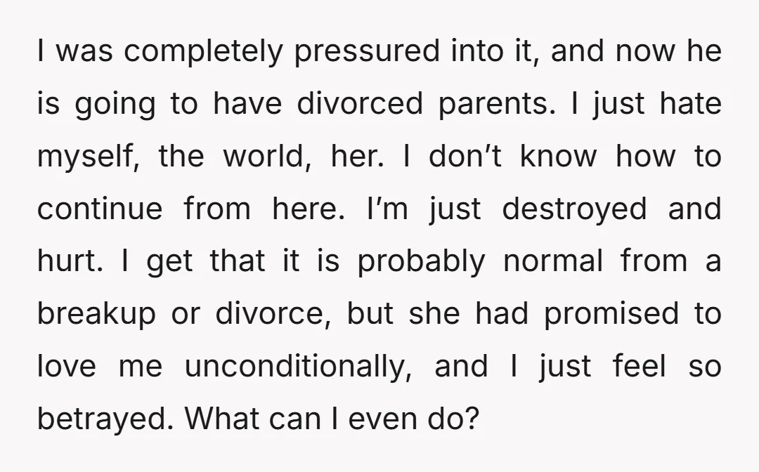 I was completely pressured into it, and now he is going to have divorced parents. I just hate myself, the world, her. I don’t know how to continue from here....
