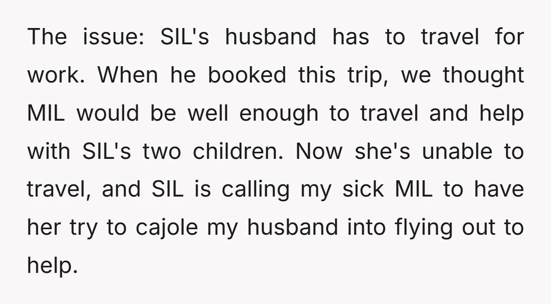 The issue: SIL's husband has to travel for work. When he booked this trip, we thought MIL would be well enough to travel and help with SIL's two children. Now...