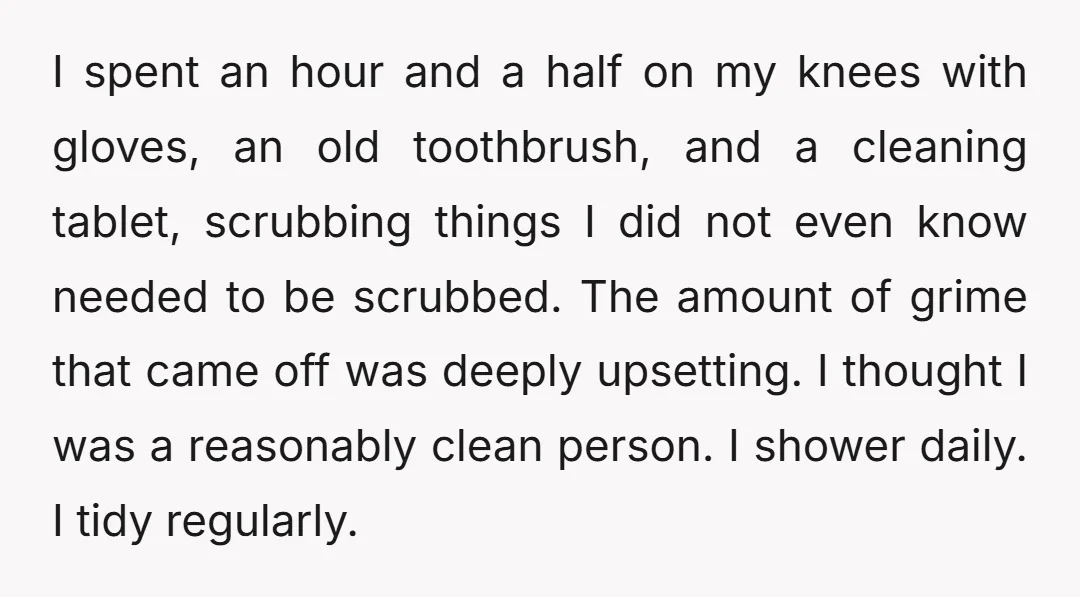 I spent an hour and a half on my knees with gloves, an old toothbrush, and a cleaning tablet, scrubbing things I did not even know needed to be scrubbed....