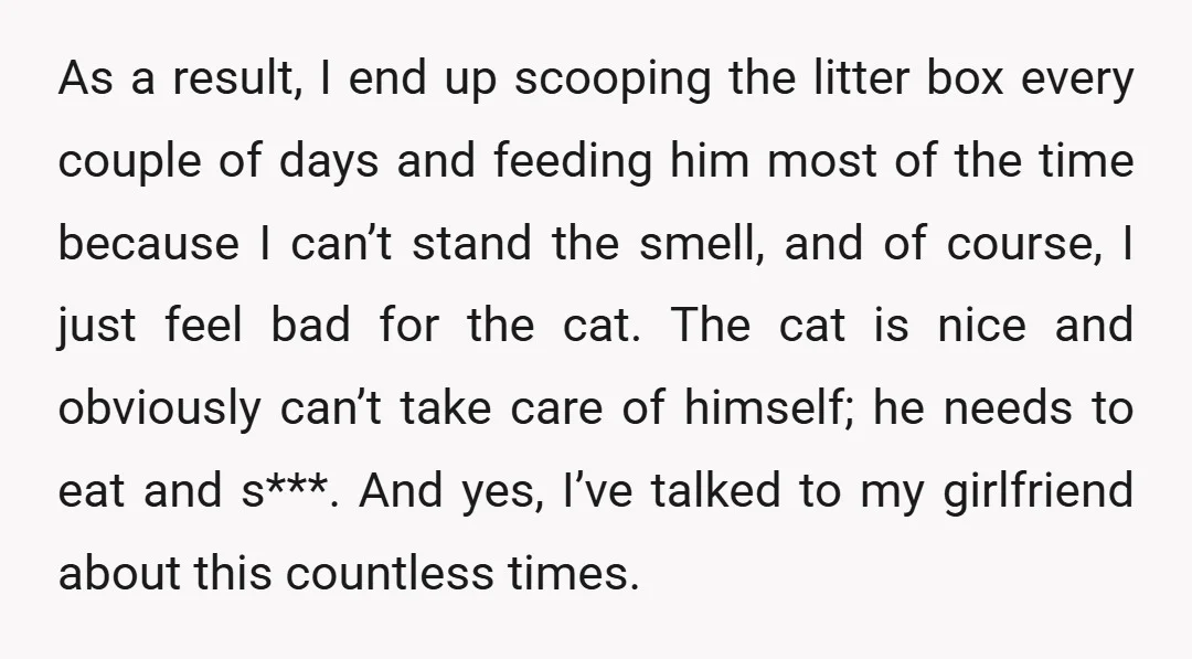 As a result, I end up scooping the litter box every couple of days and feeding him most of the time because I can’t stand the smell, and of course,...