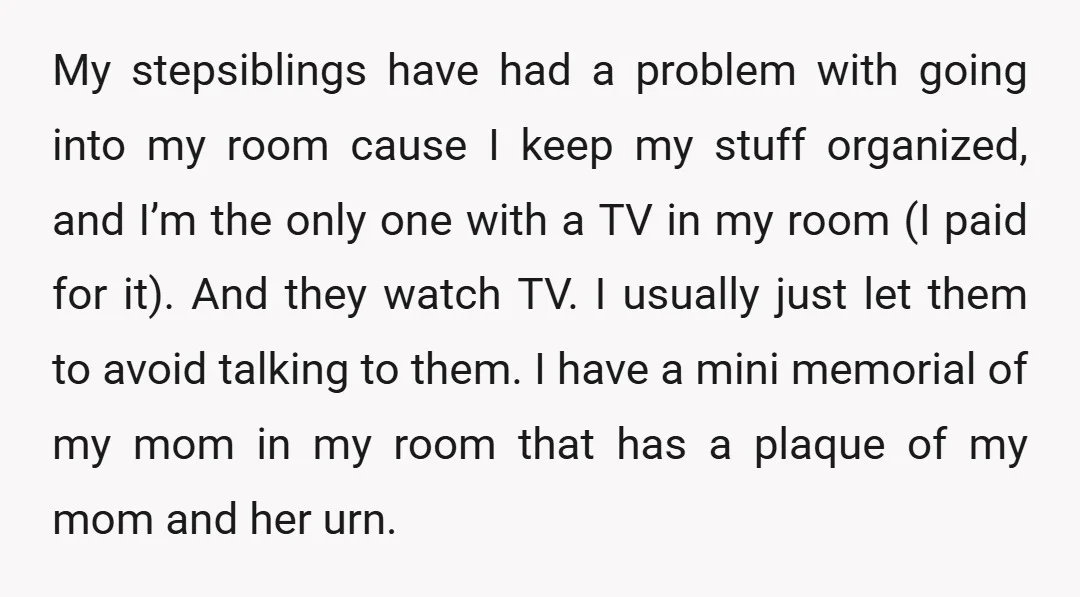 My stepsiblings have had a problem with going into my room cause I keep my stuff organized, and I’m the only one with a TV in my room (I paid...