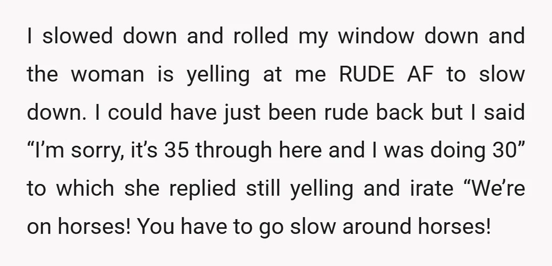 I slowed down and rolled my window down and the woman is yelling at me RUDE AF to slow down. I could have just been rude back but I said...