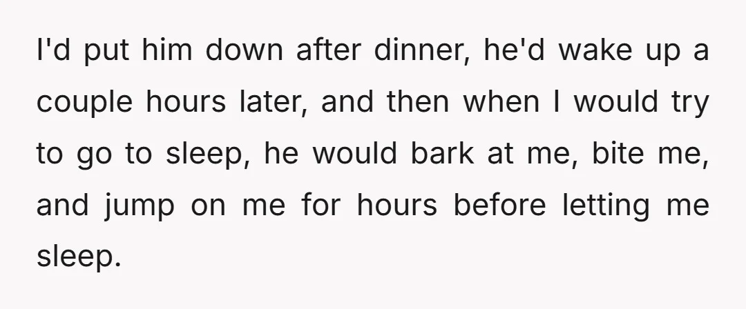 I'd put him down after dinner, he'd wake up a couple hours later, and then when I would try to go to sleep, he would bark at me, bite me,...
