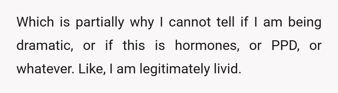 Which is partially why I cannot tell if I am being dramatic, or if this is hormones, or PPD, or whatever. Like, I am legitimately livid.