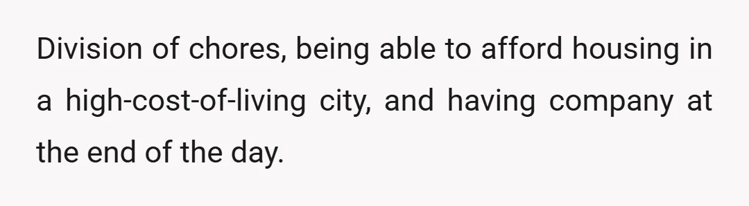 Division of chores, being able to afford housing in a high-cost-of-living city, and having company at the end of the day.