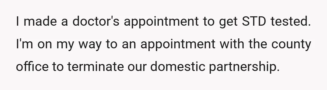 I made a doctor's appointment to get STD tested. I'm on my way to an appointment with the county office to terminate our domestic partnership.