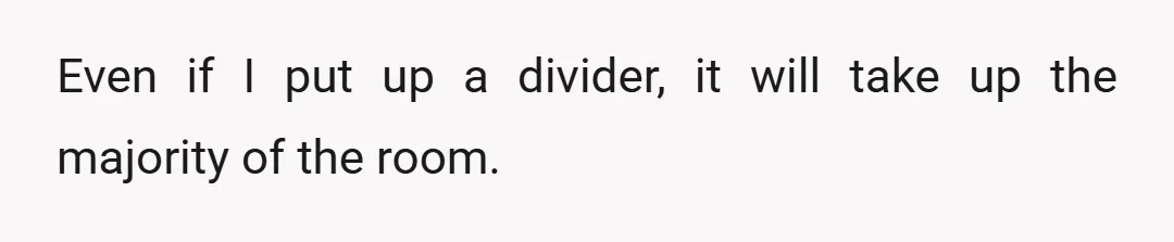 Even if I put up a divider, it will take up the majority of the room.