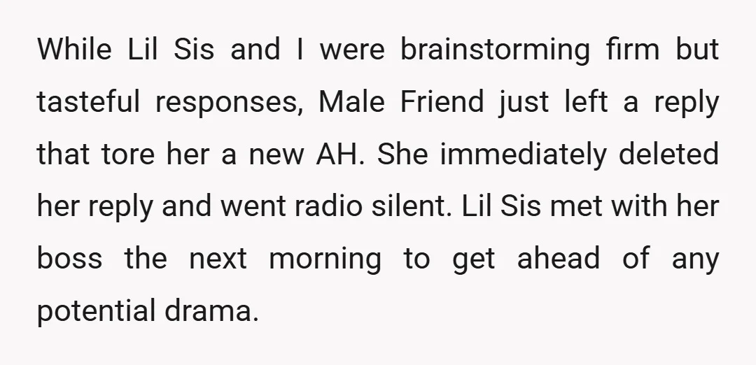 While Lil Sis and I were brainstorming firm but tasteful responses, Male Friend just left a reply that tore her a new AH. She immediately deleted her reply and went...