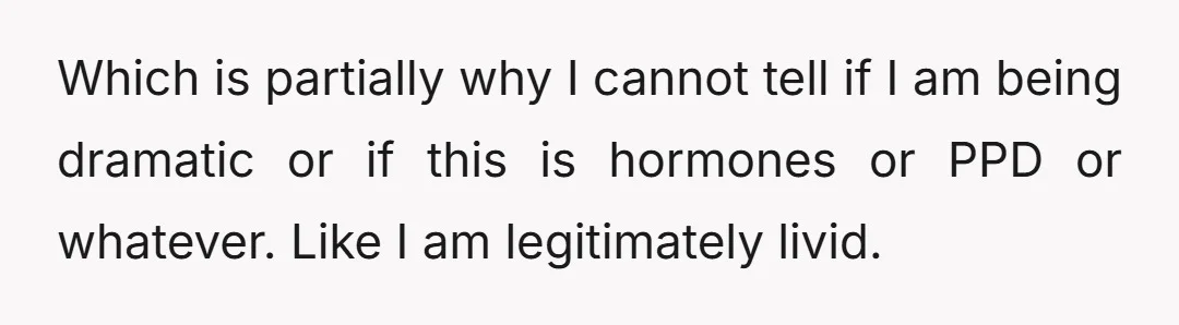Which is partially why I cannot tell if I am being dramatic or if this is hormones or PPD or whatever. Like I am legitimately livid.