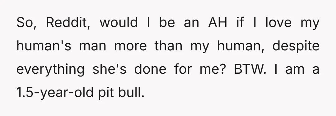 So, Reddit, would I be an AH if I love my human's man more than my human, despite everything she's done for me? BTW. I am a 1.5-year-old pit bull.