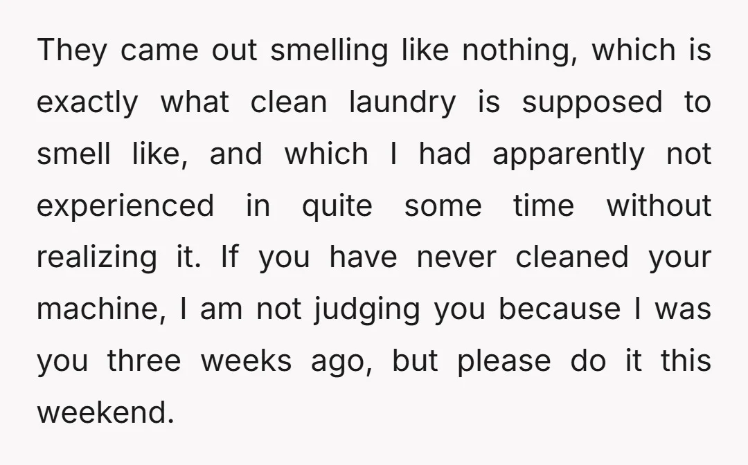 They came out smelling like nothing, which is exactly what clean laundry is supposed to smell like, and which I had apparently not experienced in quite some time without realizing...