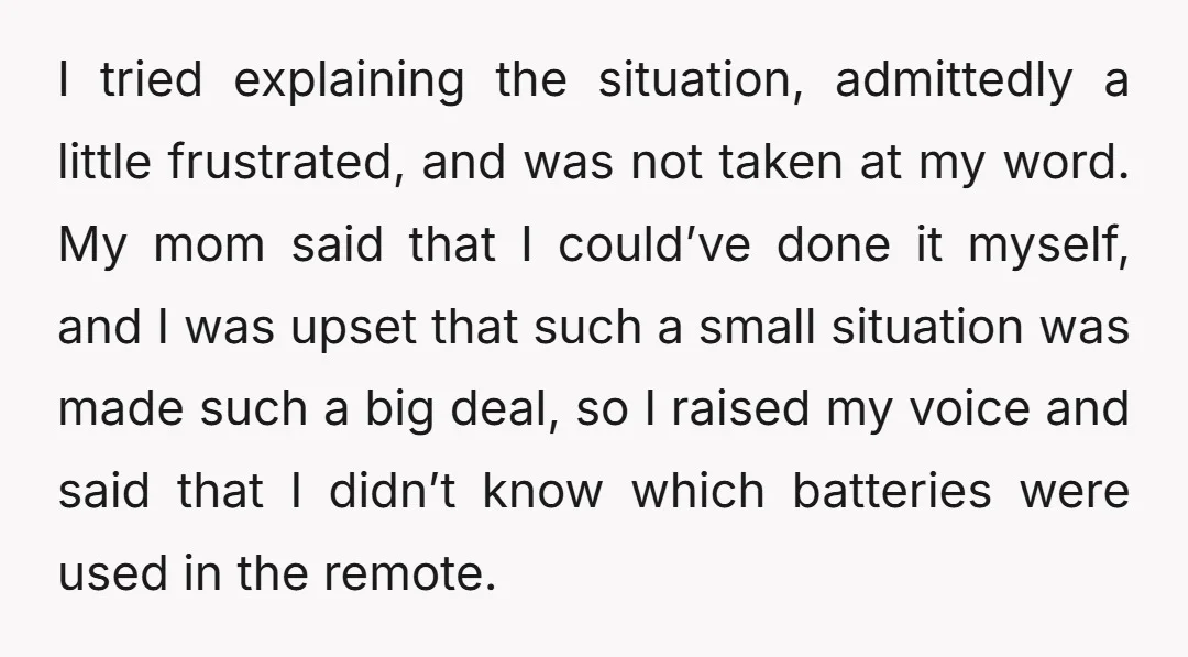 I tried explaining the situation, admittedly a little frustrated, and was not taken at my word. My mom said that I could’ve done it myself, and I was upset that...
