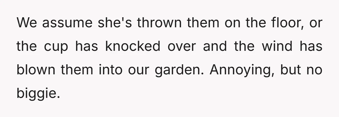 We assume she's thrown them on the floor, or the cup has knocked over and the wind has blown them into our garden. Annoying, but no biggie.
