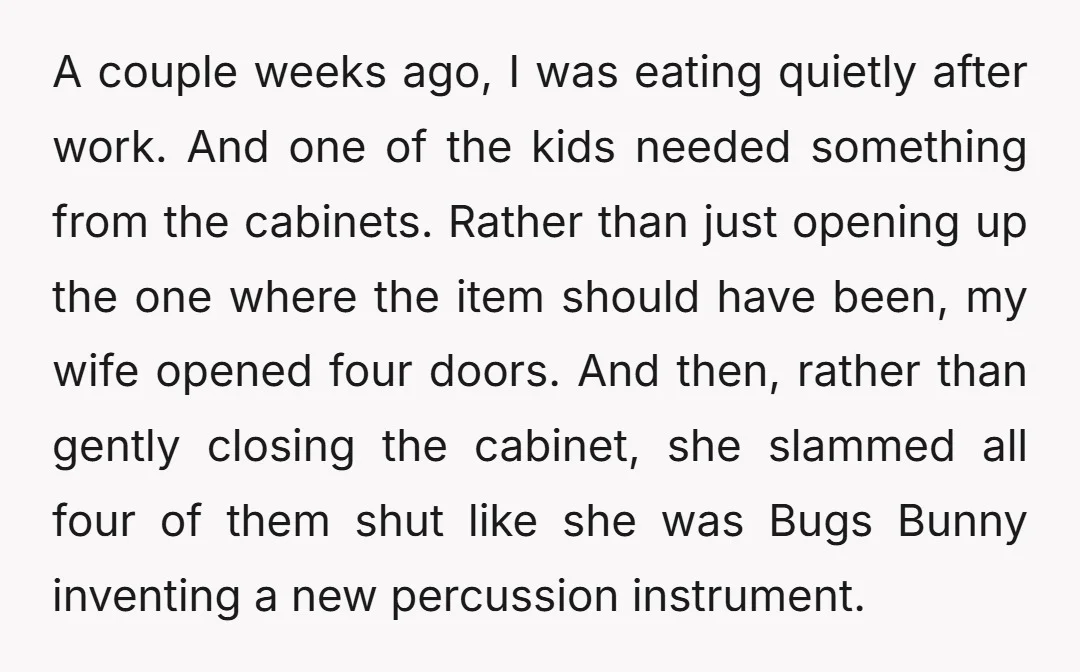 A couple weeks ago, I was eating quietly after work. And one of the kids needed something from the cabinets. Rather than just opening up the one where the item...