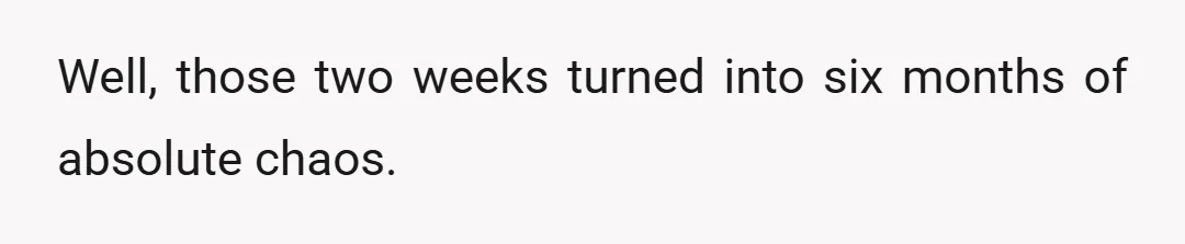 Well, those two weeks turned into six months of absolute chaos.