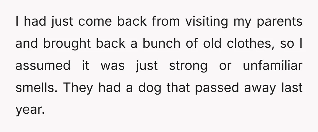 I had just come back from visiting my parents and brought back a bunch of old clothes, so I assumed it was just strong or unfamiliar smells. They had a...