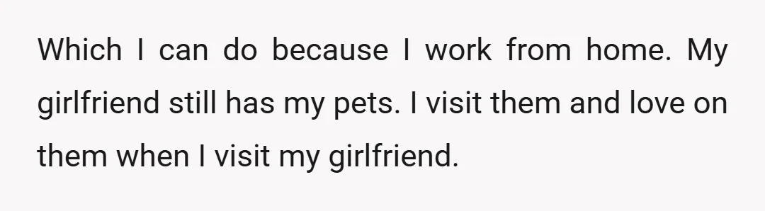 Which I can do because I work from home. My girlfriend still has my pets. I visit them and love on them when I visit my girlfriend.
