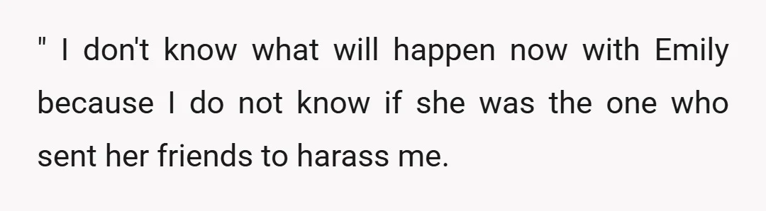 " I don't know what will happen now with Emily because I do not know if she was the one who sent her friends to harass me.