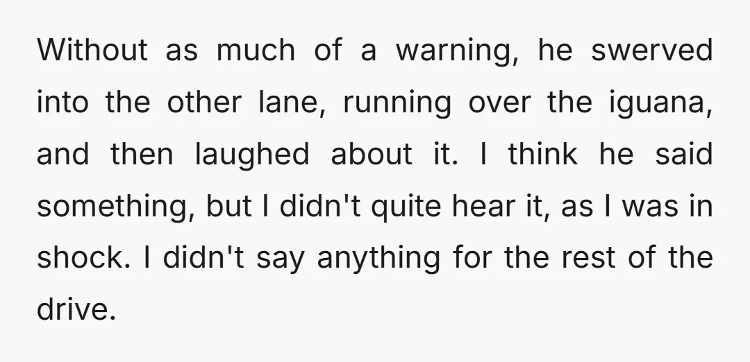 Without as much of a warning, he swerved into the other lane, running over the iguana, and then laughed about it. I think he said something, but I didn't quite...
