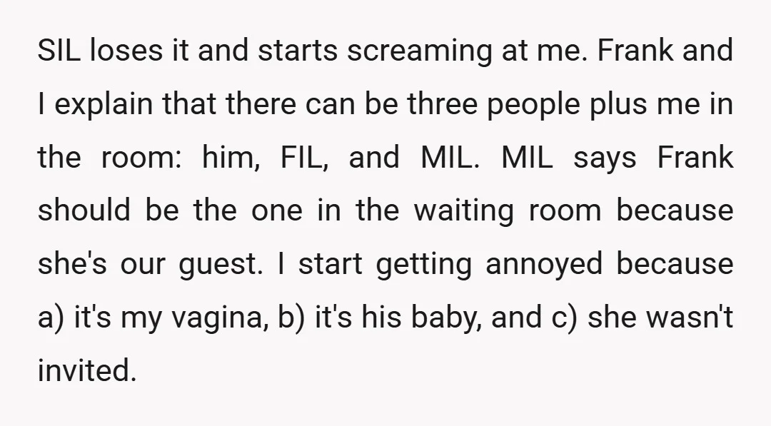 SIL loses it and starts screaming at me. Frank and I explain that there can be three people plus me in the room: him, FIL, and MIL. MIL says Frank...