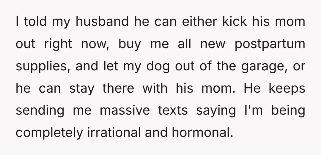 I told my husband he can either kick his mom out right now, buy me all new postpartum supplies, and let my dog out of the garage, or he can...