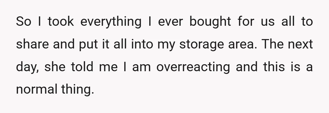 So I took everything I ever bought for us all to share and put it all into my storage area. The next day, she told me I am overreacting and...