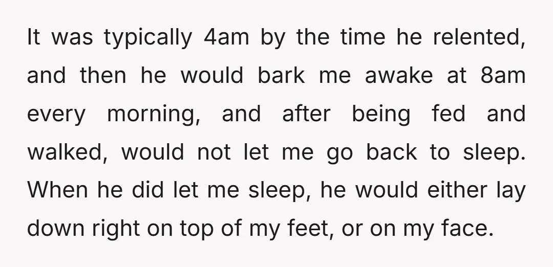 It was typically 4am by the time he relented, and then he would bark me awake at 8am every morning, and after being fed and walked, would not let me...