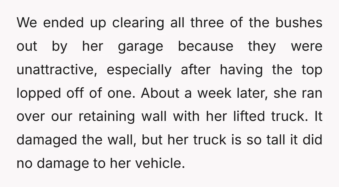 We ended up clearing all three of the bushes out by her garage because they were unattractive, especially after having the top lopped off of one. About a week later,...