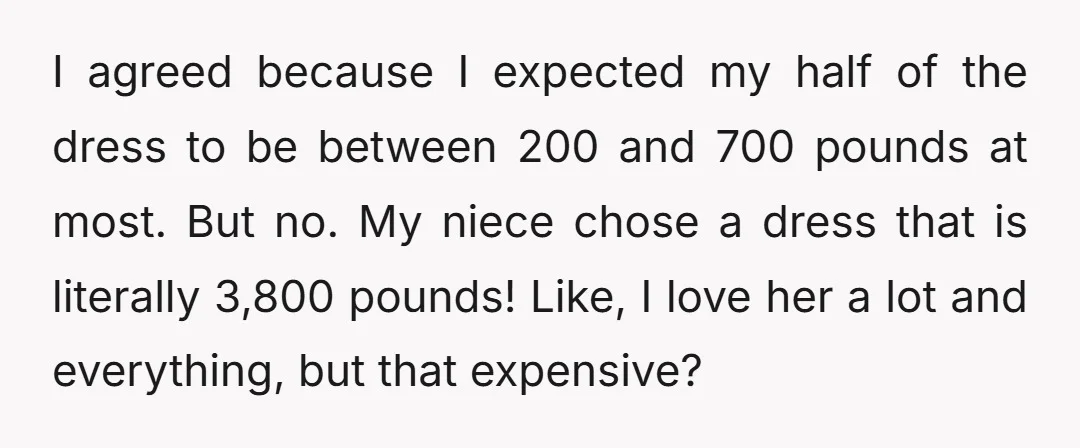 I agreed because I expected my half of the dress to be between 200 and 700 pounds at most. But no. My niece chose a dress that is literally 3,800...