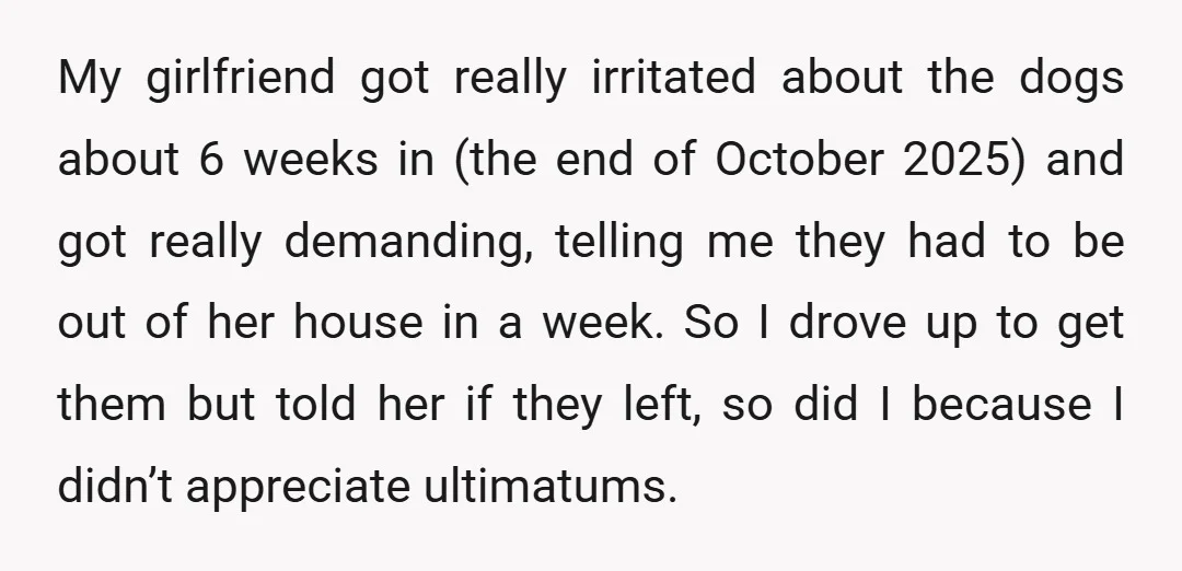 My girlfriend got really irritated about the dogs about 6 weeks in (the end of October 2025) and got really demanding, telling me they had to be out of her...