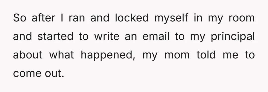 So after I ran and locked myself in my room and started to write an email to my principal about what happened, my mom told me to come out.