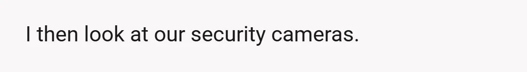 I then look at our security cameras.