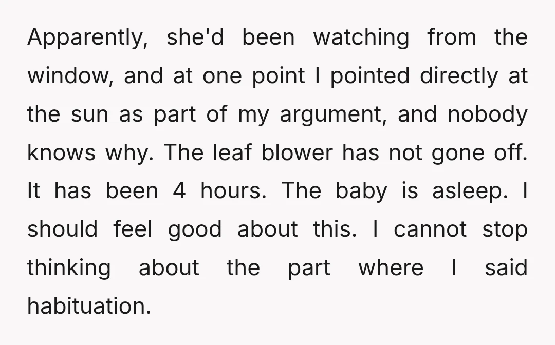 Apparently, she'd been watching from the window, and at one point I pointed directly at the sun as part of my argument, and nobody knows why. The leaf blower has...