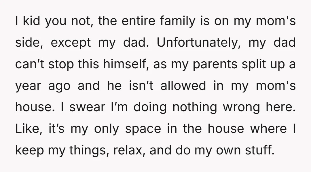 I kid you not, the entire family is on my mom's side, except my dad. Unfortunately, my dad can’t stop this himself, as my parents split up a year ago...