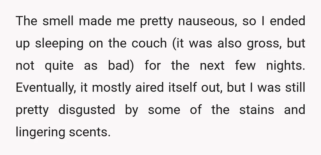 The smell made me pretty nauseous, so I ended up sleeping on the couch (it was also gross, but not quite as bad) for the next few nights. Eventually, it...