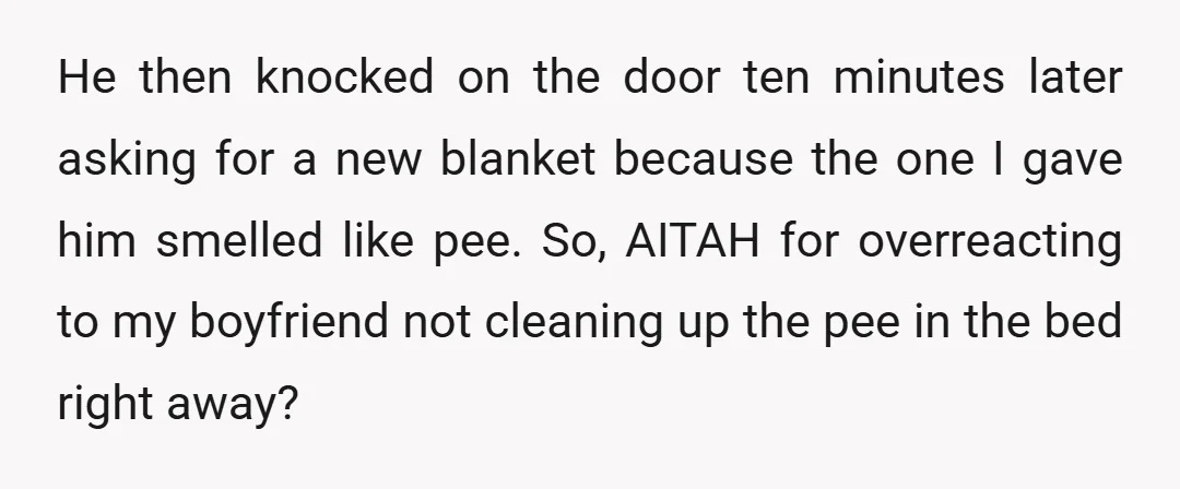 He then knocked on the door ten minutes later asking for a new blanket because the one I gave him smelled like pee. So, AITAH for overreacting to my boyfriend...