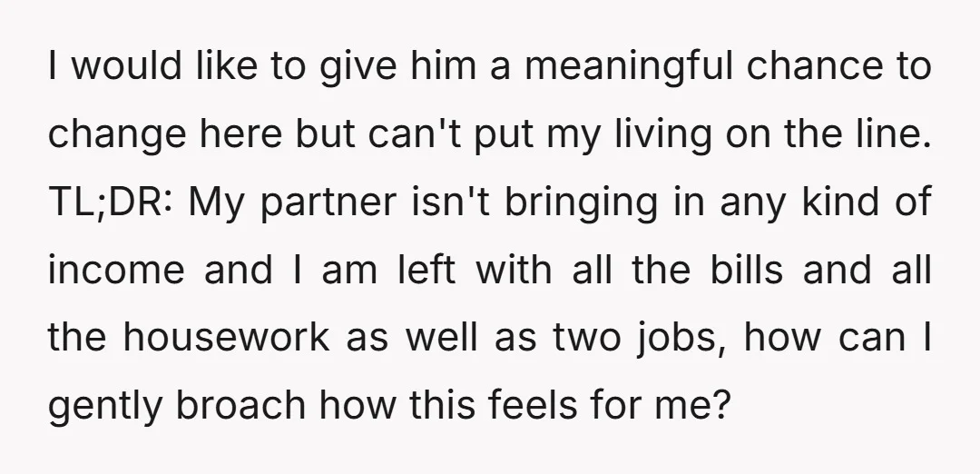I would like to give him a meaningful chance to change here but can't put my living on the line. TL;DR: My partner isn't bringing in any kind of income...