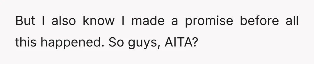 But I also know I made a promise before all this happened. So guys, AITA?