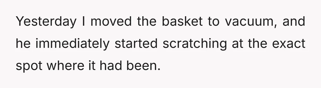 Yesterday I moved the basket to vacuum, and he immediately started scratching at the exact spot where it had been.