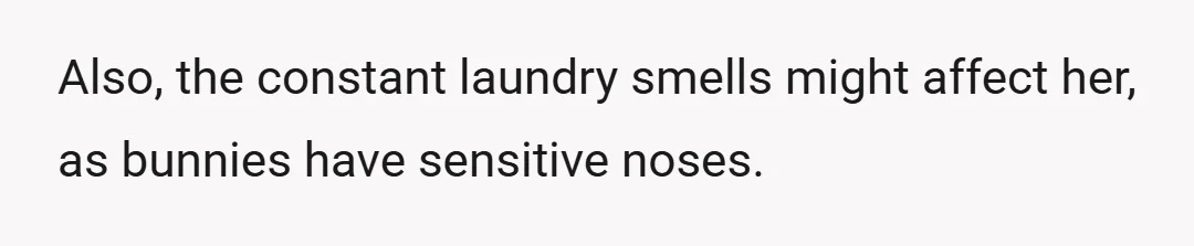 Also, the constant laundry smells might affect her, as bunnies have sensitive noses.