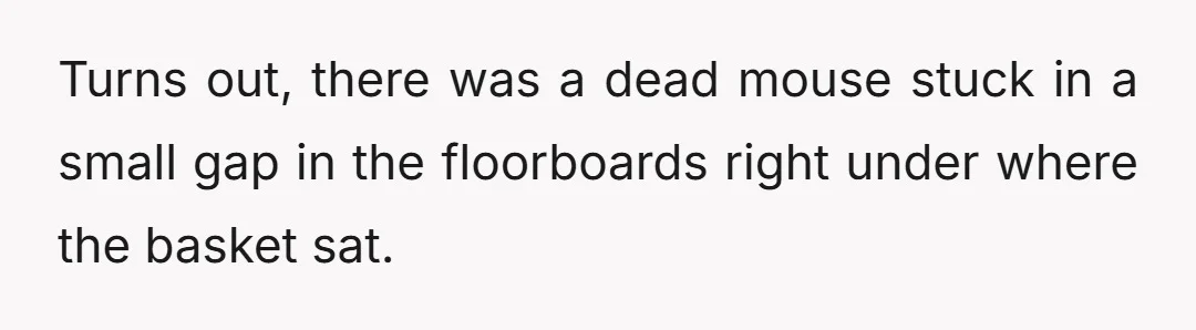 Turns out, there was a dead mouse stuck in a small gap in the floorboards right under where the basket sat.