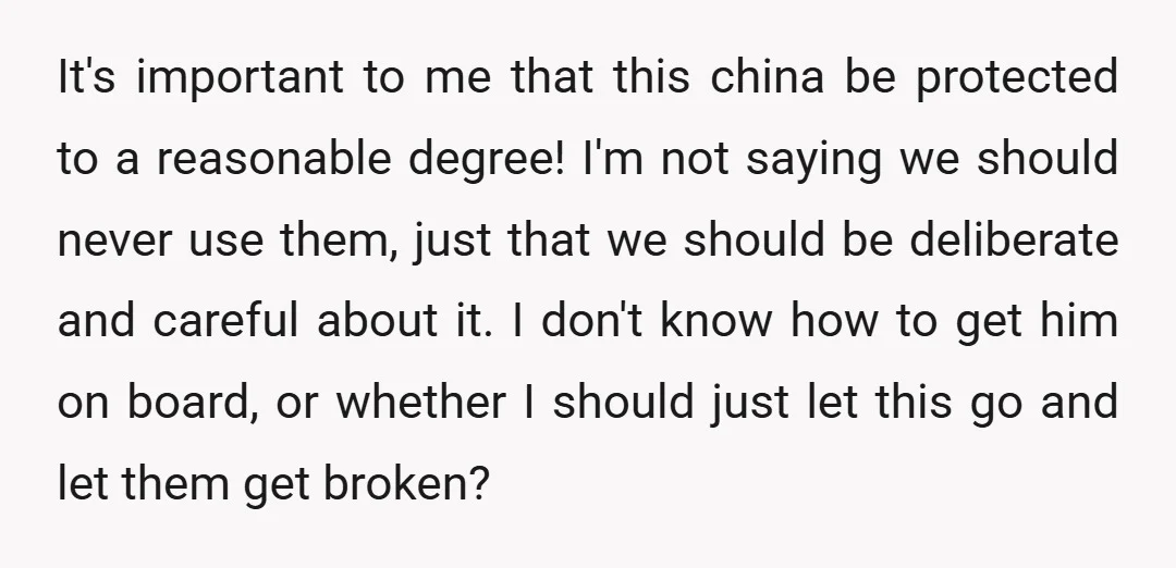 It's important to me that this china be protected to a reasonable degree! I'm not saying we should never use them, just that we should be deliberate and careful about...