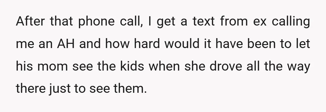 After that phone call, I get a text from ex calling me an AH and how hard would it have been to let his mom see the kids when she...