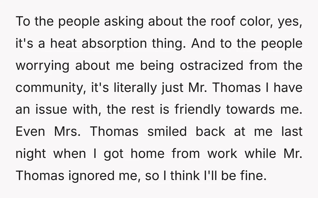 To the people asking about the roof color, yes, it's a heat absorption thing. And to the people worrying about me being ostracized from the community, it's literally just Mr....