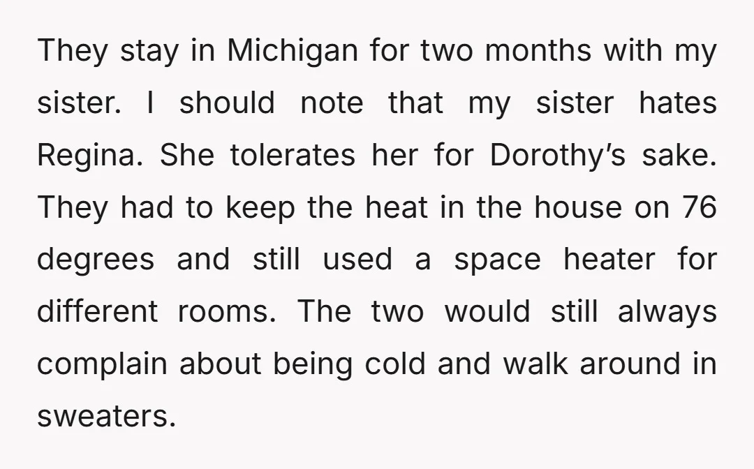 They stay in Michigan for two months with my sister. I should note that my sister hates Regina. She tolerates her for Dorothy’s sake. They had to keep the heat...