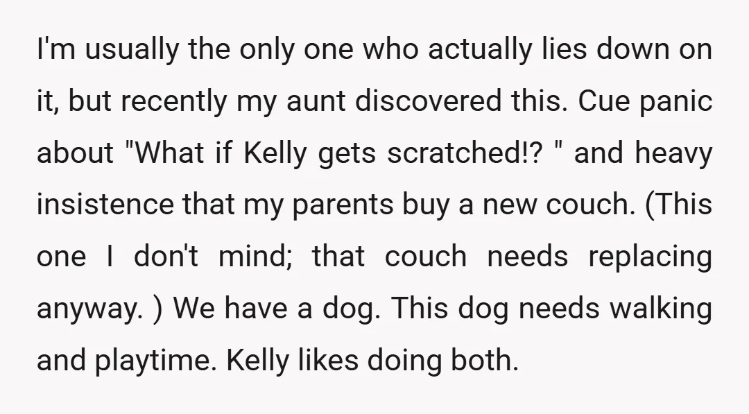 I'm usually the only one who actually lies down on it, but recently my aunt discovered this. Cue panic about "What if Kelly gets scratched!? " and heavy insistence that...