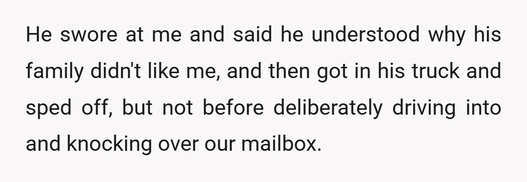 He swore at me and said he understood why his family didn't like me, and then got in his truck and sped off, but not before deliberately driving into and...
