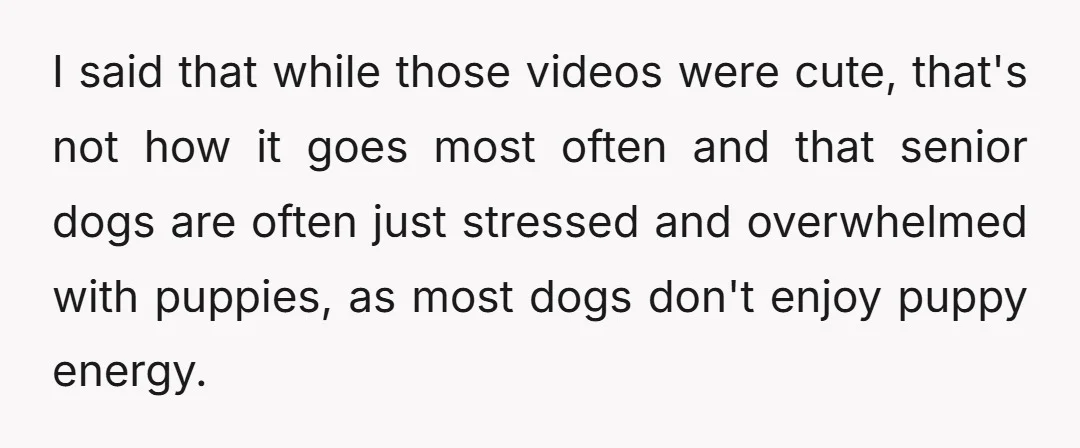 I said that while those videos were cute, that's not how it goes most often and that senior dogs are often just stressed and overwhelmed with puppies, as most dogs...
